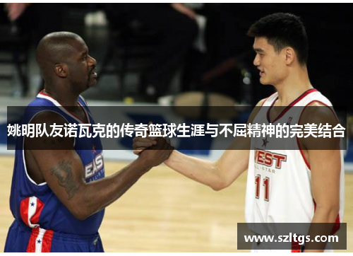 姚明队友诺瓦克的传奇篮球生涯与不屈精神的完美结合